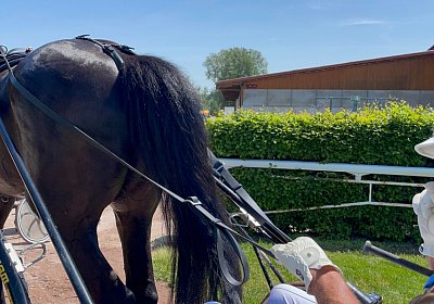 Av 20Mai 2022 K IMG 2485 Jack