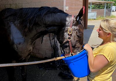 Av 20Mai 2022 Y IMG 0028 Jack