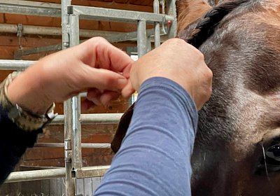 Pfarrkirchen 7juni2022 A IMG 3543 Deniro