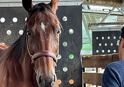 Pfarrkirchen 7juni2022 A IMG 3552 Rushmore