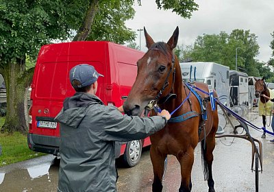 Pfarrkirchen 7juni2022 B IMG 3589 Rushmore
