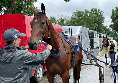 Pfarrkirchen 7juni2022 B IMG 3591 Rushmore