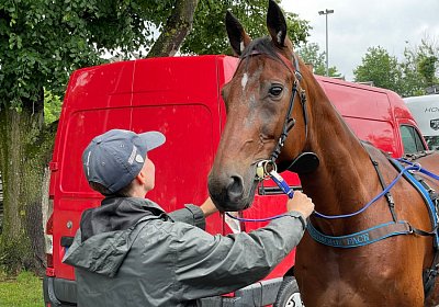 Pfarrkirchen 7juni2022 B IMG 3592 Rushmore