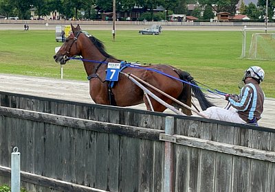 Pfarrkirchen 7juni2022 D IMG 3627 Rushmore