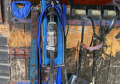 Pfarrkirchen 7juni2022 E IMG 3630