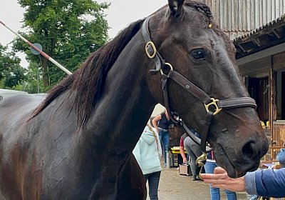 Pfarrkirchen 7juni2022 H IMG 3664 Deniro