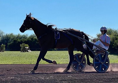Vessillo 2022 07 10 A IMG 5326
