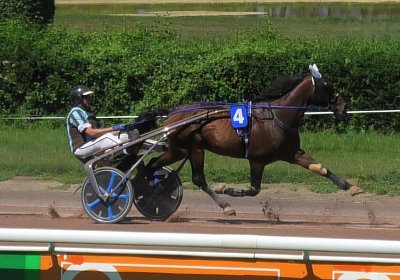 Avenches 2August2022 D S631004 Vessillo7