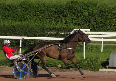 Avenches 2August2022 L S6310037 Ina