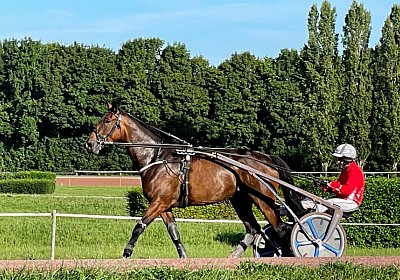 Avenches 2August2022 M IMG 6583 Ina