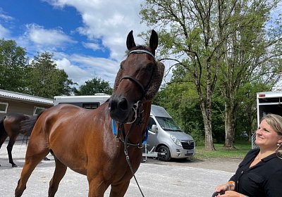 Dielsdorf Cuarto Tkliwy 20August22 L IMG 7485 Cuarto