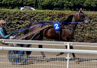 Av 2022 09 11 O IMG 9135 Achille