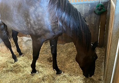 Av 2022 09 11 R IMG 9153 Jack