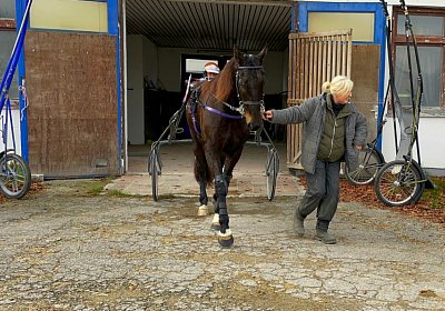 2022 12 09 Deniro Daglfing IMG 4351