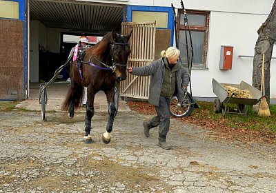 2022 12 09 Deniro Daglfing IMG 4352