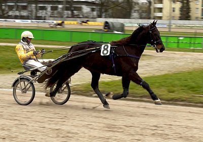 2023 01 09 Straubing Deniro IMG 5690