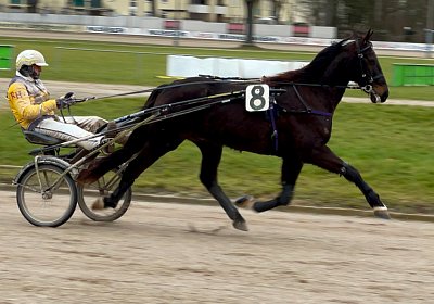 2023 01 09 Straubing Deniro IMG 5692