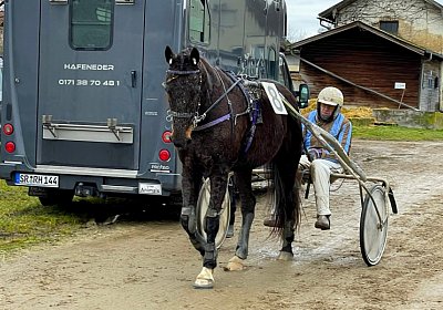 2023 01 09 Straubing Deniro Z IMG 5752