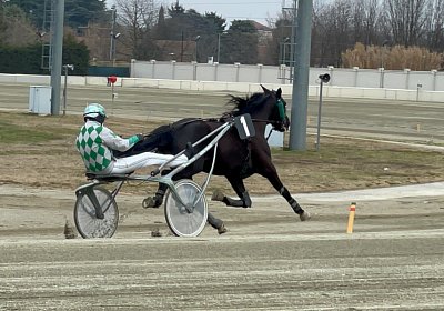 2023 03 01 Turin IMG 7335 King of Queens