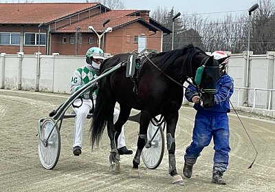 2023 03 01 Turin IMG 7344 King of Queens