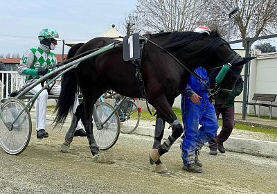 2023 03 01 Turin IMG 7347 King of Queens