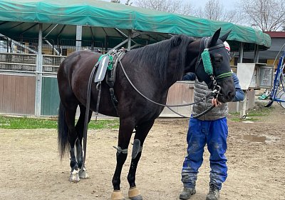 2023 03 01 Turin J IMG 7359 King of Queens