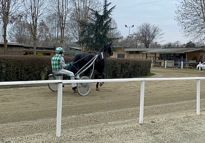 2023 03 01 Turin K IMG 7369 King of Queens