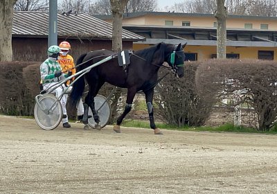 2023 03 01 Turin K IMG 7371 King of Queens
