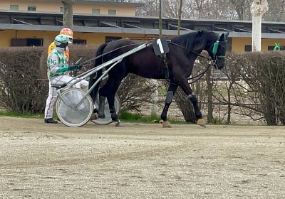 2023 03 01 Turin K IMG 7374 King of Queens