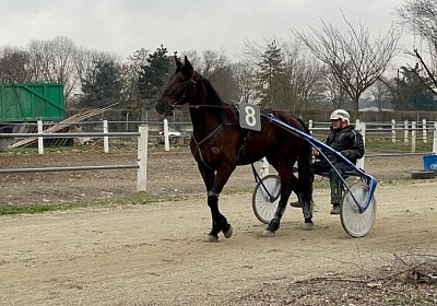 2023 03 01 Turin L IMG 7418 Black