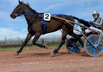2023 03 17 Av L IMG 8137 Maggiore