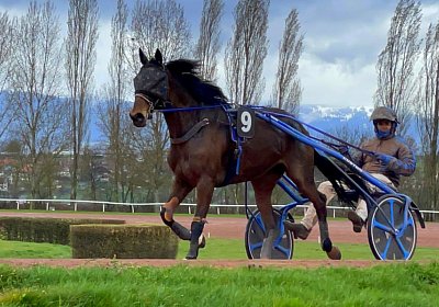 2023 03 25 Av D IMG 8728 Ina