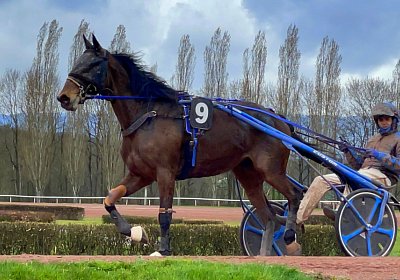 2023 03 25 Av D IMG 8731 Ina