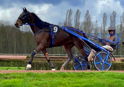 2023 03 25 Av D IMG 8732 Ina