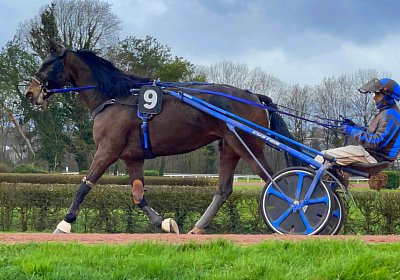 2023 03 25 Av D IMG 8737 Ina