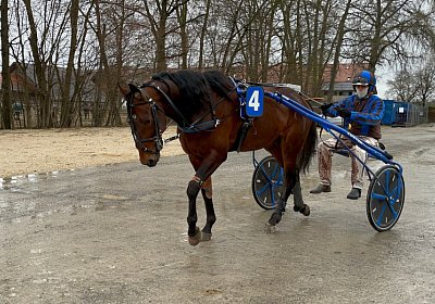 2023 03 25 Av IMG 8708 Alcide