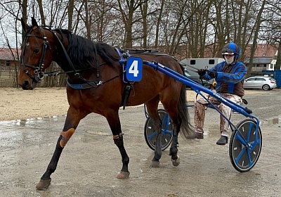 2023 03 25 Av IMG 8709 Alcide