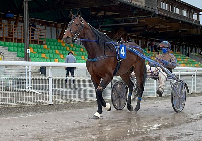 2023 03 25 Av IMG 8762 Alcide