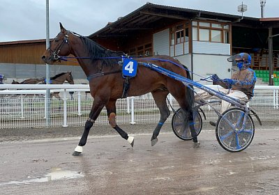 2023 03 25 Av IMG 8764 Alcide