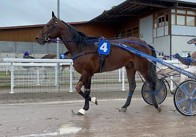 2023 03 25 Av IMG 8765 Alcide