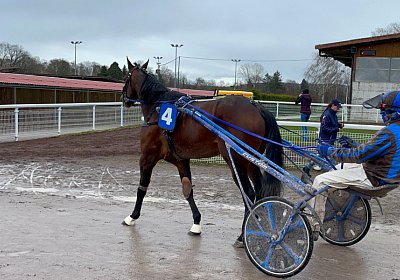 2023 03 25 Av IMG 8768 Alcide