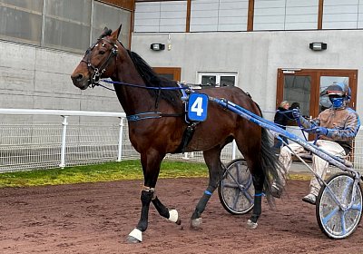 2023 03 25 Av IMG 8770 Alcide