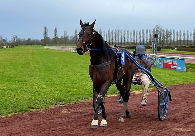 2023 03 25 Av IMG 8774 Alcide