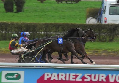 2023 03 25 Av J S7070024 Alcide