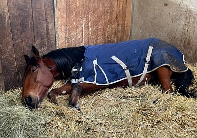 2023 03 25 Av Q IMG 8804 Jackpot