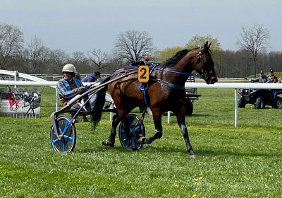 2023 04 10 Frauenfeld B IMG 9507 Alcide