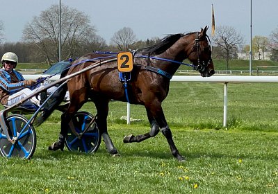 2023 04 10 Frauenfeld B IMG 9510 Alcide