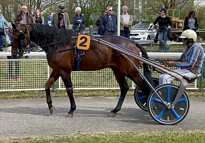 2023 04 10 Frauenfeld H IMG 9606 Alcide