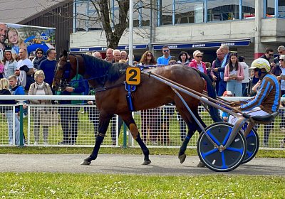 2023 04 10 Frauenfeld H IMG 9608 Alcide