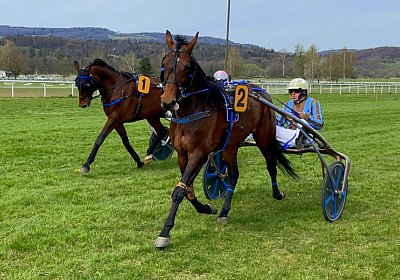 2023 04 10 Frauenfeld H IMG 9613 Alcide